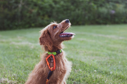 Dog breeder