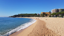 Foto di Platja de Fenals con molto pulita livello di pulizia