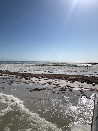 Boat Tour Agency «Spongeorama Cruise lines», reviews and photos, 510 Dodecanese Blvd, Tarpon Springs, FL 34689, USA