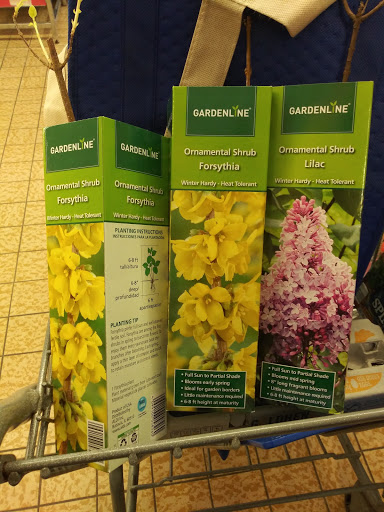 Supermarket «ALDI», reviews and photos, 5420 N Henry Blvd, Stockbridge, GA 30281, USA