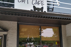 Catnip Cat Cafe