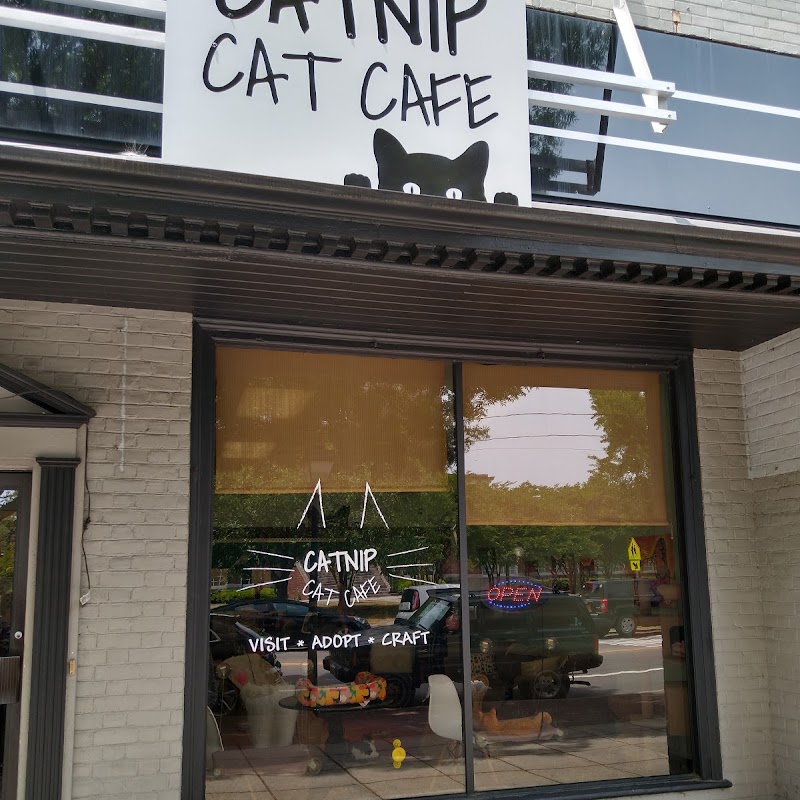 Catnip Cat Cafe