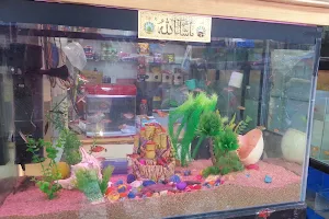 Yam Aquarium & Pet Shop image