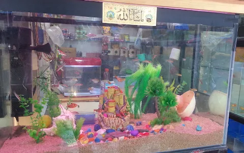 Yam Aquarium & Pet Shop image