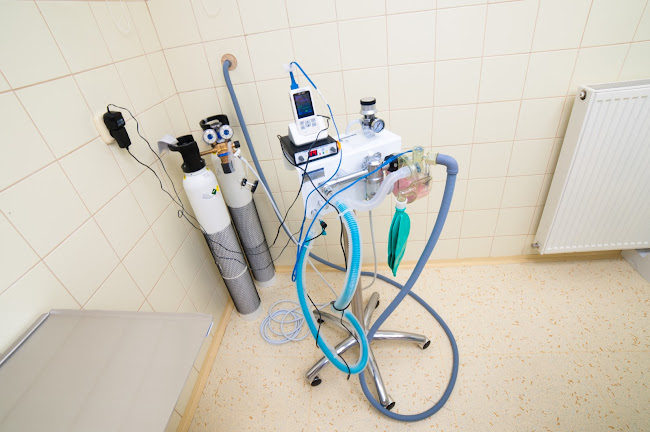 Veterinárna klinika Primavet - Veterinár