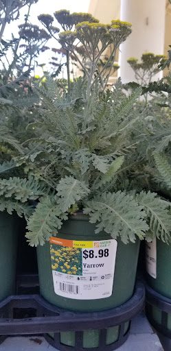 Home Improvement Store «The Home Depot», reviews and photos, 39 Long Pond Rd, Plymouth, MA 02360, USA