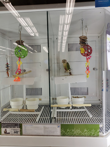 Pet Supply Store «Petco Animal Supplies», reviews and photos, 3480 Wilkes Barre Blvd, Wilkes-Barre, PA 18702, USA