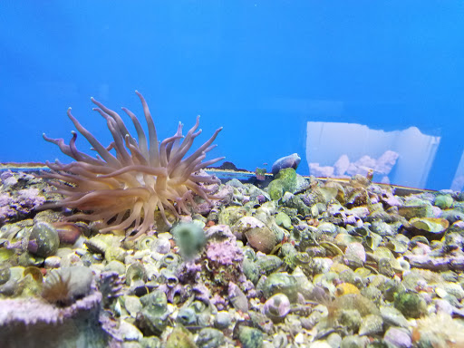 Pet Store «Pet World Warehouse Outlet», reviews and photos, 2984 S 108th St, Milwaukee, WI 53227, USA