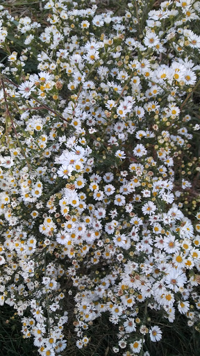 Park «Fox River Bluff west», reviews and photos, 5N753 State Rte 31, St Charles, IL 60175, USA