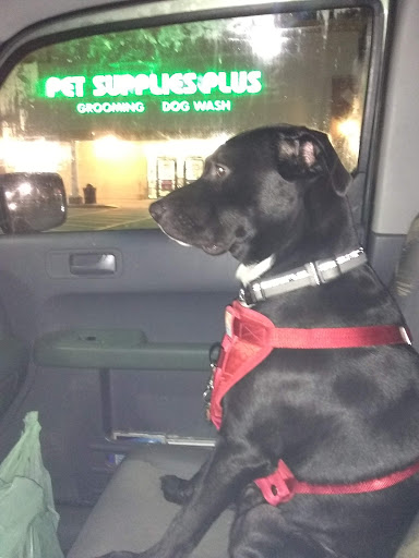 Pet Supply Store «Pet Supplies Plus», reviews and photos, 2471 E State St, Hermitage, PA 16148, USA