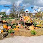 Photo n° 7 de l'avis de Dominique.o fait le 23/10/2022 à 12:45 pour Parc Terra Botanica à Angers