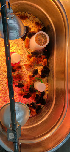 Department Store «Rural King», reviews and photos, 10400 Highland Rd, Hartland, MI 48353, USA