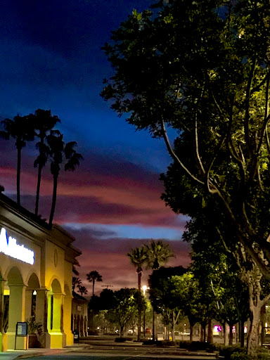 Grocery Store «Albertsons», reviews and photos, 3825 Alton Pkwy, Irvine, CA 92606, USA