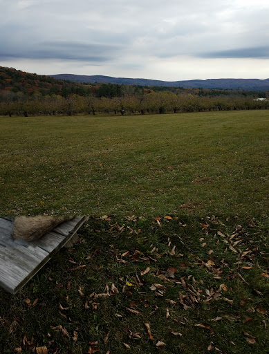 Winery «Furnace Brook Winery», reviews and photos, 508 Canaan Rd, Richmond, MA 01254, USA