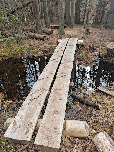 Community Park «Wells Mills County Park», reviews and photos, 905 Wells Mills Rd, Waretown, NJ 08758, USA