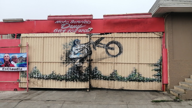 Motos Dany