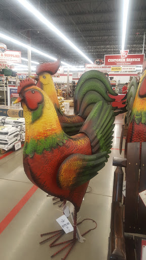 Home Improvement Store «Tractor Supply Co.», reviews and photos, 17130 E Shea Blvd, Fountain Hills, AZ 85268, USA