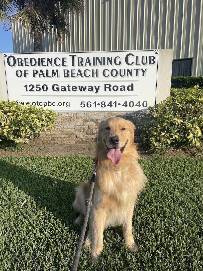Obedience Training Club