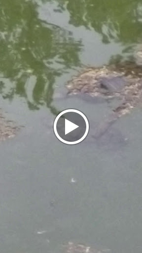 Park «Hoblitzelle Park», reviews and photos, 7500 Red River Dr, Plano, TX 75025, USA