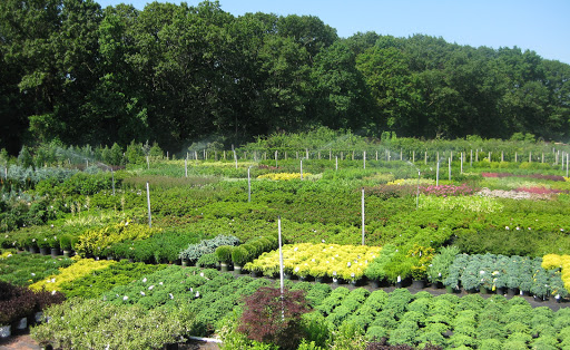 Garden Center «Blooms at Belle Mead», reviews and photos, 1980 US-206, Belle Mead, NJ 08502, USA