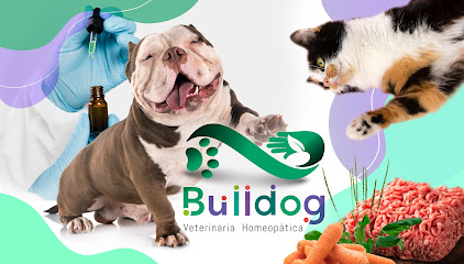 Bulldog - Veterinaria Homeopática