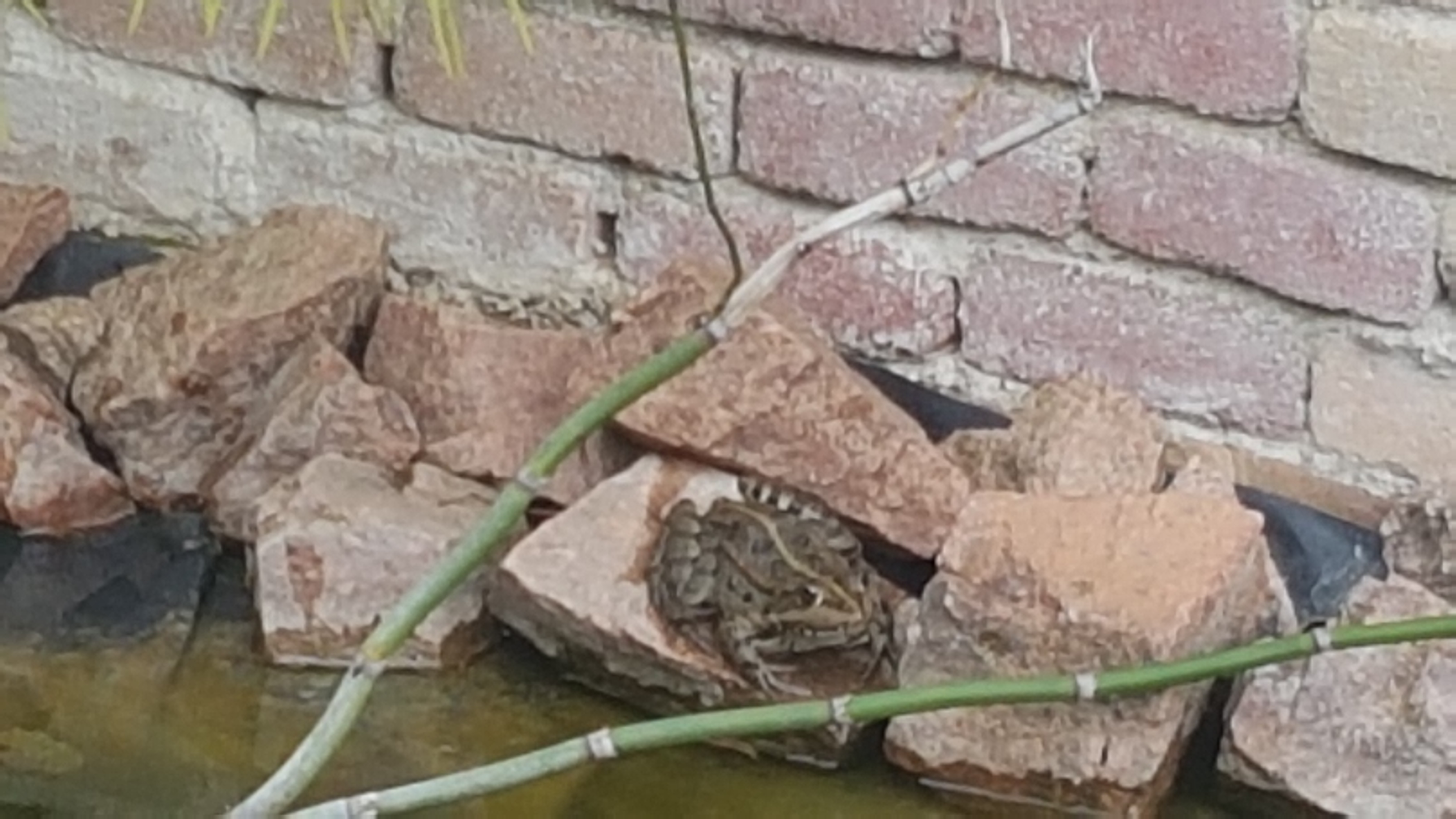 Photo n° 1 de l'avis de Laetitia.n fait le 15/04/2019 à 17:14