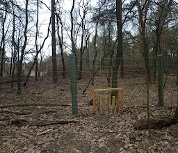Jungfernheide (Forst) photo