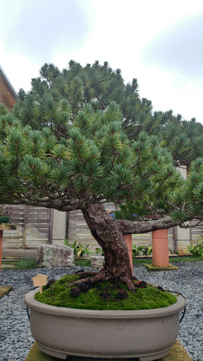 Tourist Attraction «Monastery Of The Holy Spirit», reviews and photos, 2625 GA-212, Conyers, GA 30094, USA