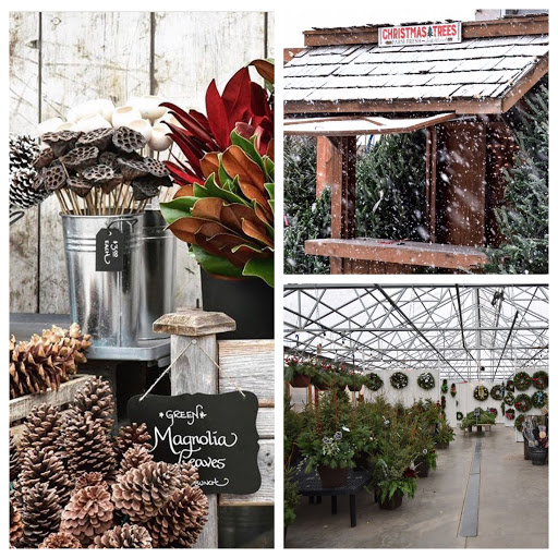 Florist «Forest Lake Floral, Gift & Garden», reviews and photos, 508 Lake St S, Forest Lake, MN 55025, USA