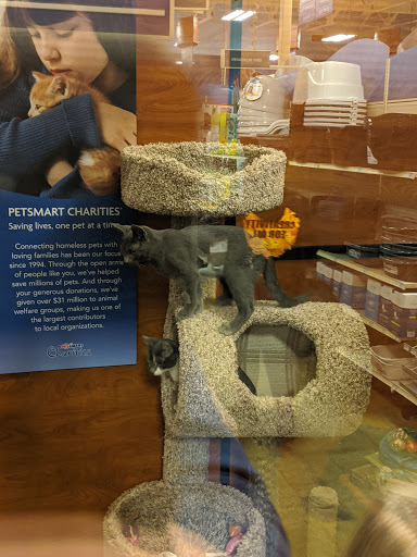 Pet Supply Store «PetSmart», reviews and photos, 745 W Huntington Dr, Monrovia, CA 91016, USA