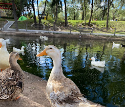 Metropolitano de Guadalajara Park photo