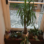 Photo n°1 de l'avis de Herbert.l fait le 27/06/2020 à 16:14 sur le  Hotel Anatol à Merano