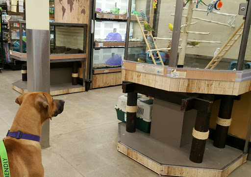 Pet Supply Store «Petco Animal Supplies», reviews and photos, 190 Quality Dr, Hooksett, NH 03106, USA