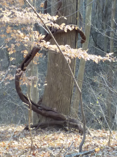 Museum «Audubon Museum & Nature Center», reviews and photos, 3100 US-41, Henderson, KY 42420, USA