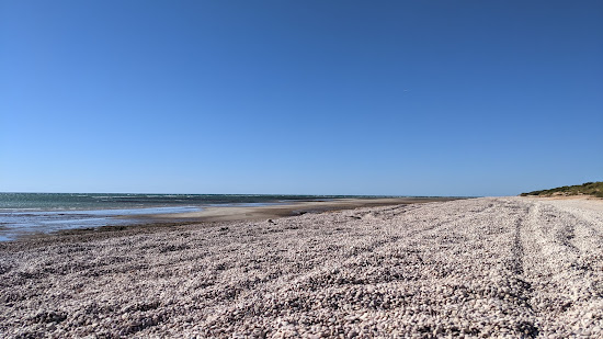Pebble Beach