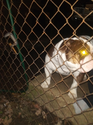 Casino «Indiana Grand Racing & Casino», reviews and photos, 4300 N Michigan Rd, Shelbyville, IN 46176, USA