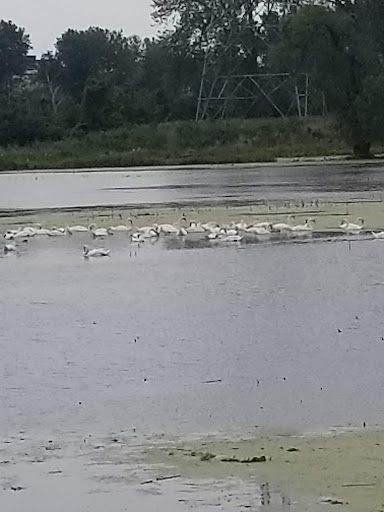 National Park «River Raisin National Battlefield Park Visitor Center», reviews and photos, 1403 E Elm Ave, Monroe, MI 48162, USA