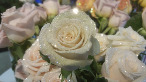 Florist «ACCENT FLORIST», reviews and photos, 4048 Rochester Rd, Troy, MI 48085, USA