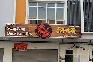 正宗永平鴨肉麵Yong Peng Duck Noodle image