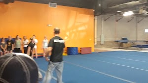 Fortis Gymnastics Academy - photo 22