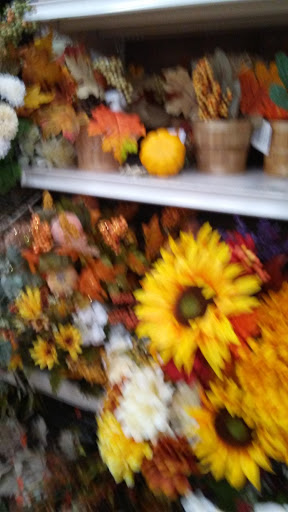 Craft Store «Michaels», reviews and photos, 1238 Putty Hill Ave, Towson, MD 21286, USA