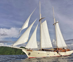 Bali Sea Dancer photo