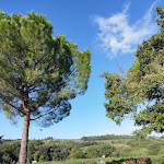 Photo n°3 de l'avis de Marta.o fait le 27/09/2023 à 05:23 sur le  Azienda Agricola Polveraia - Cucina tipica, oasi di relax immerso nella natura à San Gimignano