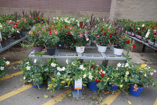 Home Improvement Store «The Home Depot», reviews and photos, 5800 Cedar Lake Rd, St Louis Park, MN 55416, USA