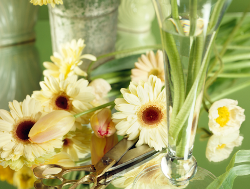 Florist «Abbott Florist», reviews and photos, 138 Fries Mill Rd #5, Turnersville, NJ 08012, USA