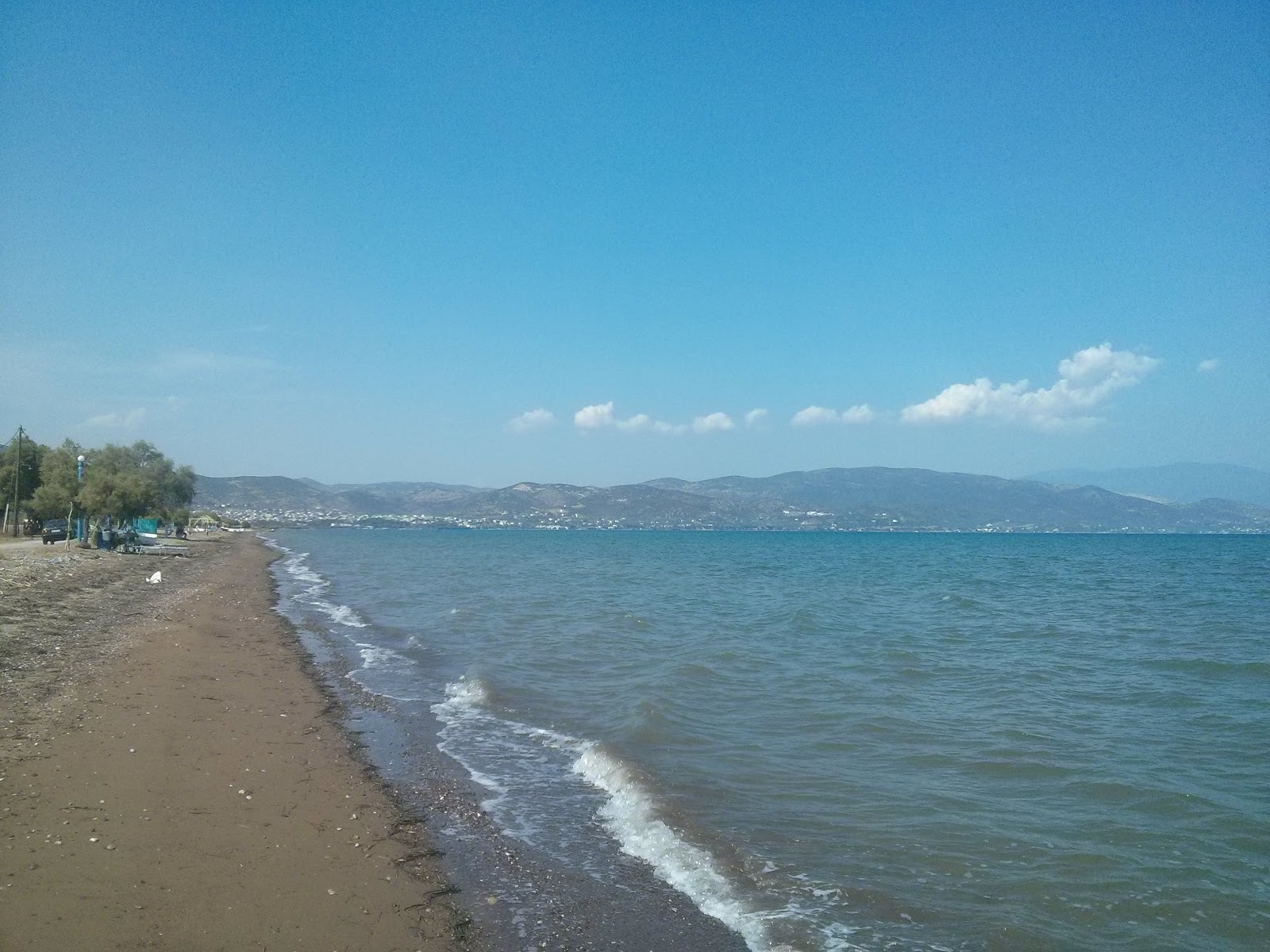 Dimitriada beach的照片 带有黑沙和卵石表面