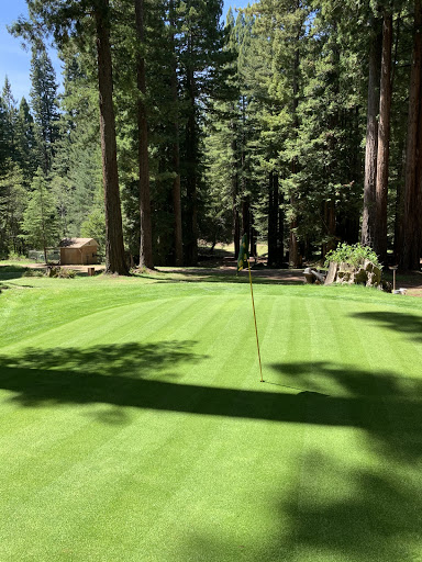 Golf Course «Brooktrails Golf Course», reviews and photos, 24860 Birch St, Willits, CA 95490, USA