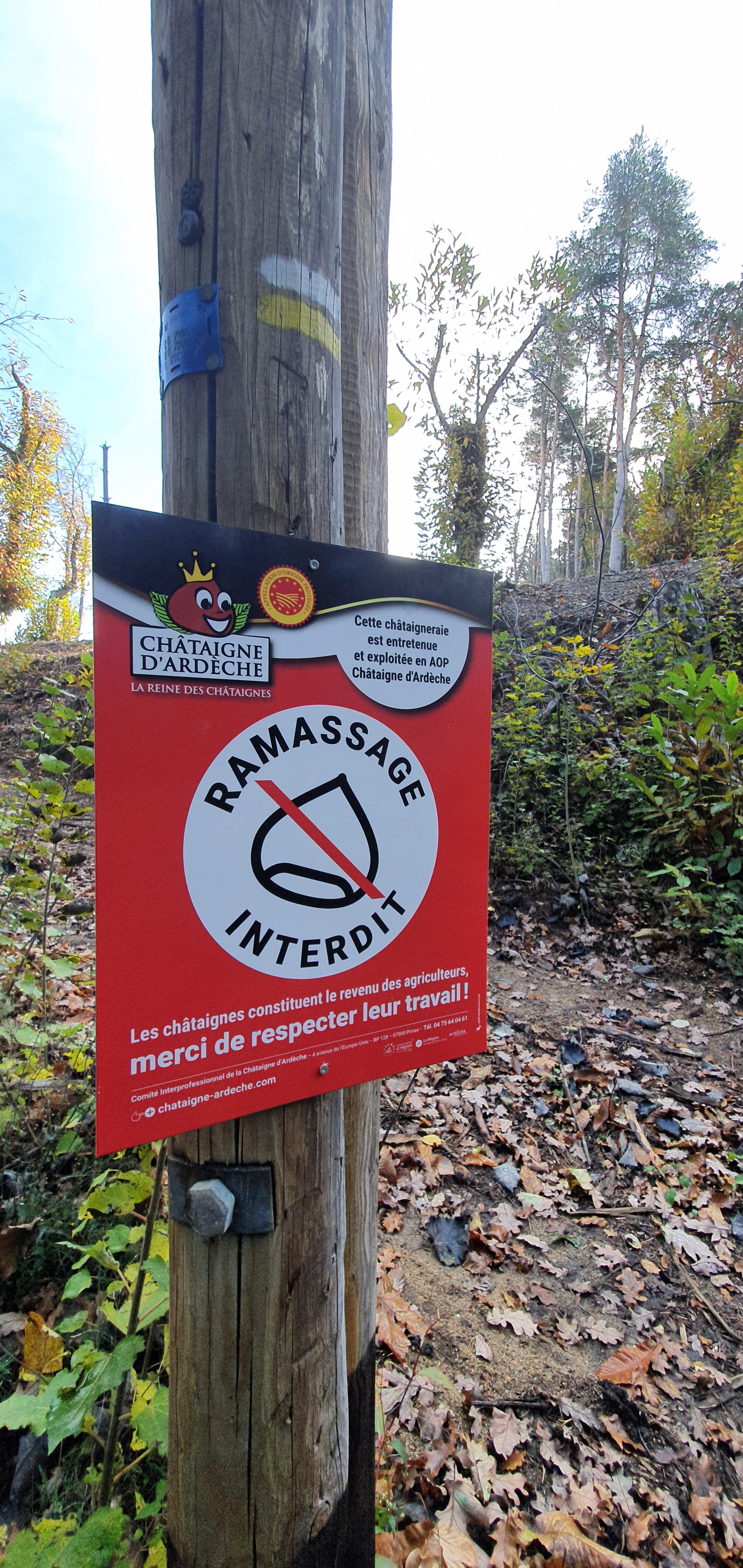 Photo n° 3 de l'avis de Guillaume.i fait le 11/11/2021 à 12:55