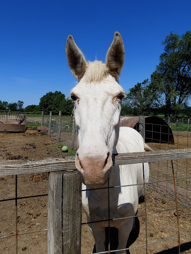 Zoo «Cricket Hollow Zoo», reviews and photos, 1512 210th St, Manchester, IA 52057, USA