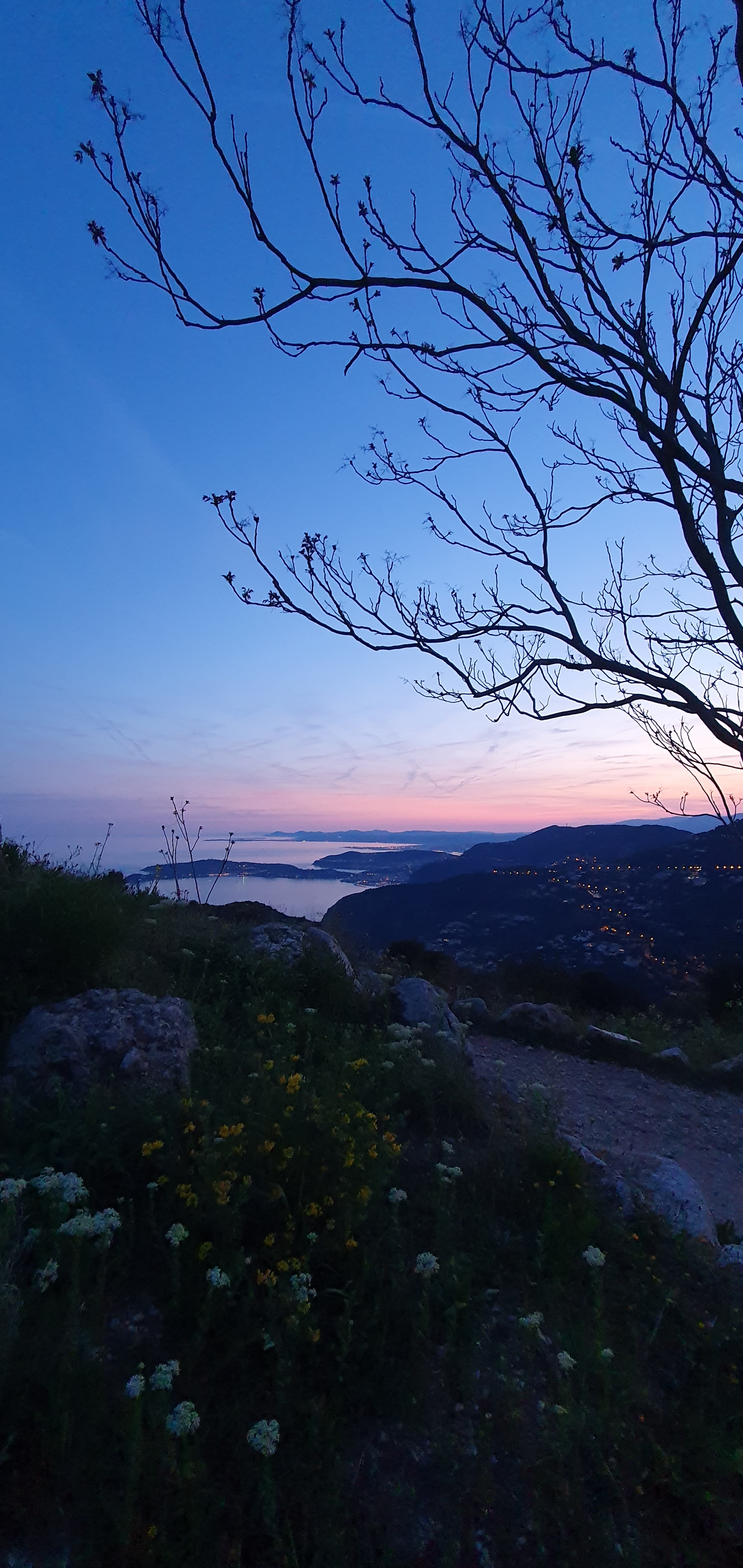 Photo n° 6 de l'avis de Olga. fait le 21/04/2023 à 20:49